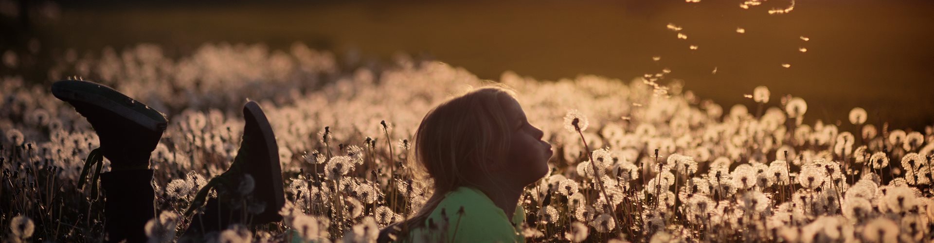 Pige uden stress blæser mælkebøttefrø ud over en eng. 