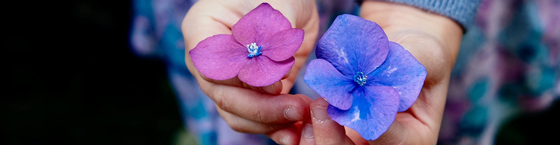 Origo - Vi hjælper dig med dét, du har behov for