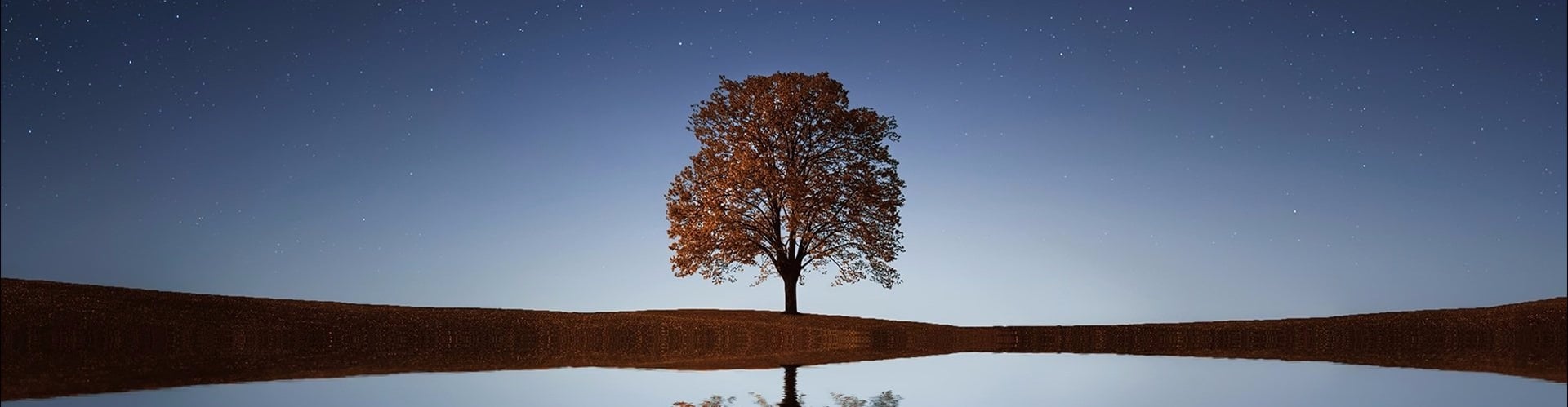 Træ der spejler sig i vand, og en stor blå himmel