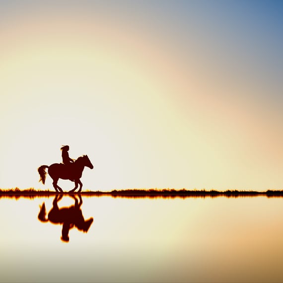 Rytter til hest i solnedgang