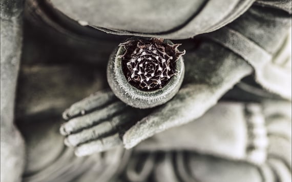Buddha med en blomst i skødet. Origo behandler angst med kraniosakralterapi for at få kroppen i balance.